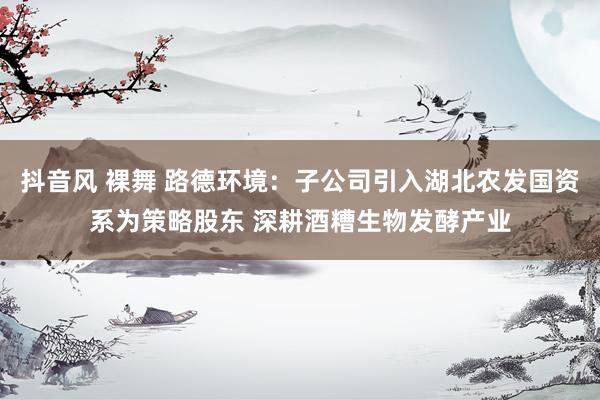 抖音风 裸舞 路德环境:子公司引入湖北农发国资系为策略股东 深耕酒糟生物发酵产业