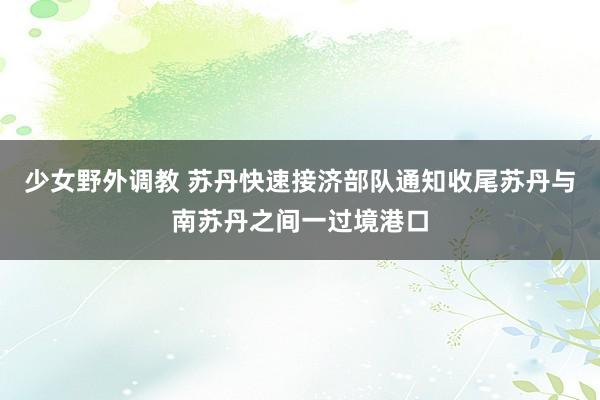 少女野外调教 苏丹快速接济部队通知收尾苏丹与南苏丹之间一过境港口