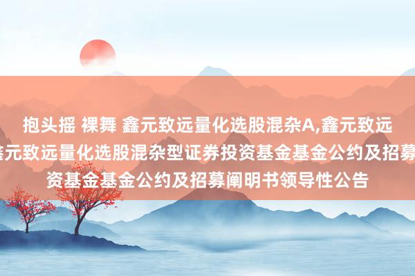 抱头摇 裸舞 鑫元致远量化选股混杂A,鑫元致远量化选股混杂C: 鑫元致远量化选股混杂型证券投资基金基金公约及招募阐明书领导性公告