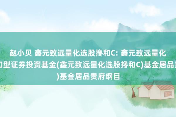 赵小贝 鑫元致远量化选股搀和C: 鑫元致远量化选股搀和型证券投资基金(鑫元致远量化选股搀和C)基金居品贵府纲目