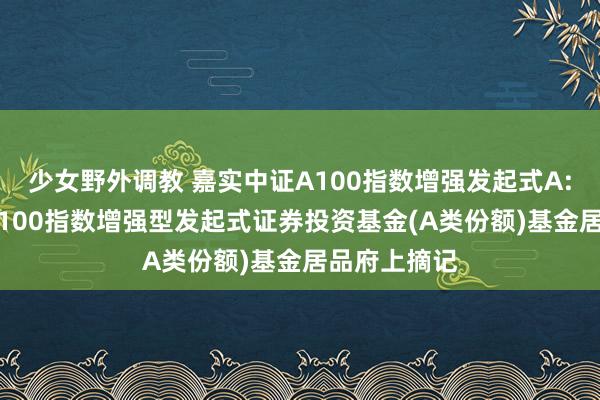 少女野外调教 嘉实中证A100指数增强发起式A: 嘉实中证A100指数增强型发起式证券投资基金(A类份额)基金居品府上摘记