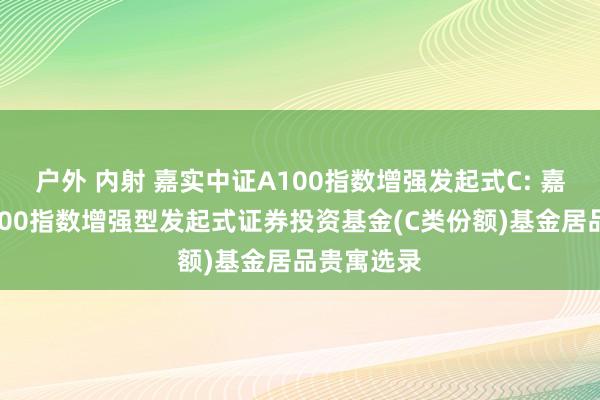 户外 内射 嘉实中证A100指数增强发起式C: 嘉实中证A100指数增强型发起式证券投资基金(C类份额)基金居品贵寓选录