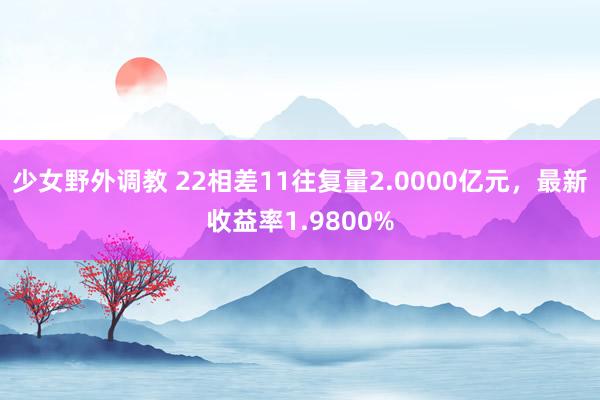 少女野外调教 22相差11往复量2.0000亿元，最新收益率1.9800%