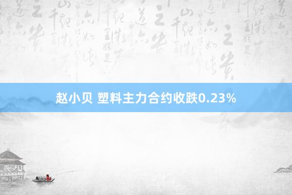 赵小贝 塑料主力合约收跌0.23%