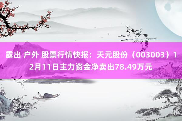 露出 户外 股票行情快报:天元股份(003003)12月11日主力资金净卖出78.49万元