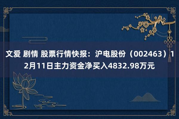 文爱 剧情 股票行情快报:沪电股份(002463)12月11日主力资金净买入4832.98万元