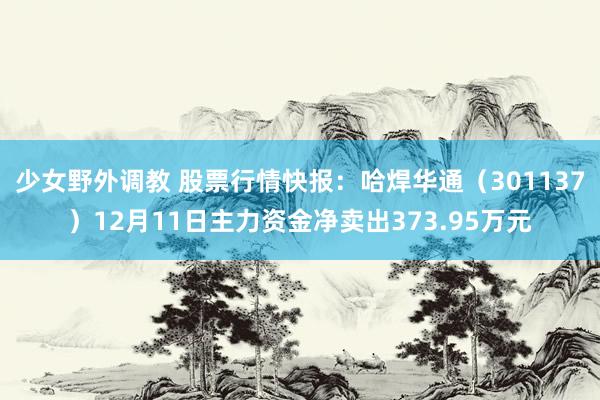 少女野外调教 股票行情快报:哈焊华通(301137)12月11日主力资金净卖出373.95万元