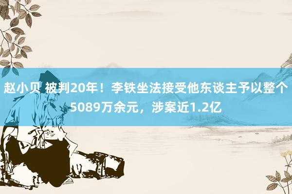 赵小贝 被判20年!李铁坐法接受他东谈主予以整个5089万余元,涉案近1.2亿