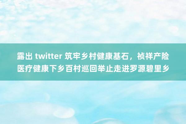 露出 twitter 筑牢乡村健康基石，祯祥产险医疗健康下乡百村巡回举止走进罗源碧里乡