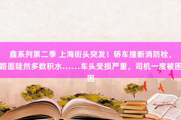 鑫系列第二季 上海街头突发！轿车撞断消防栓，路面陡然多数积水……车头受损严重，司机一度被困