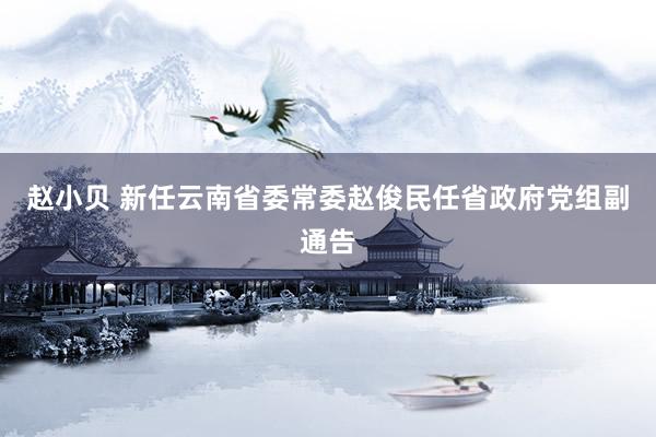 赵小贝 新任云南省委常委赵俊民任省政府党组副通告