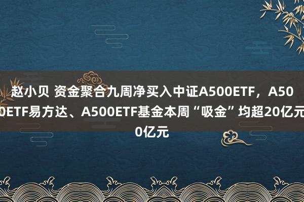 赵小贝 资金聚合九周净买入中证A500ETF,A500ETF易方达、A500ETF基金本周“吸金”均超20亿元