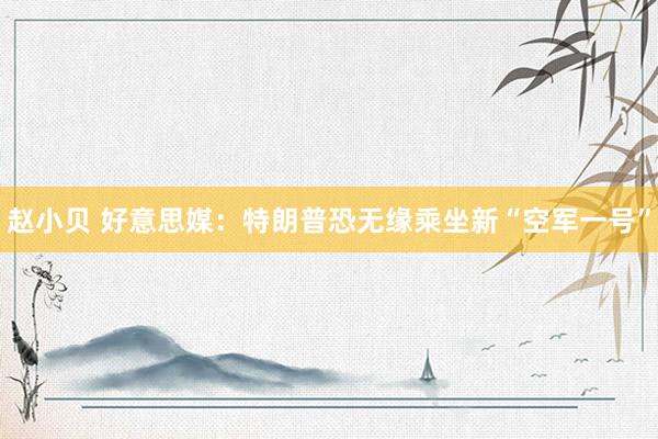 赵小贝 好意思媒：特朗普恐无缘乘坐新“空军一号”