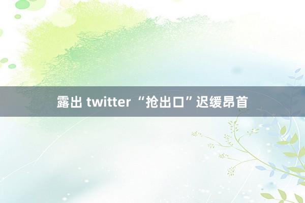 露出 twitter “抢出口”迟缓昂首