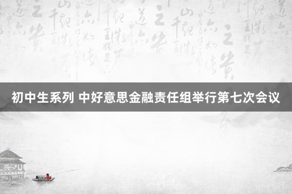 初中生系列 中好意思金融责任组举行第七次会议