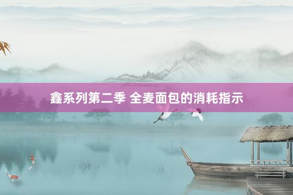 鑫系列第二季 全麦面包的消耗指示
