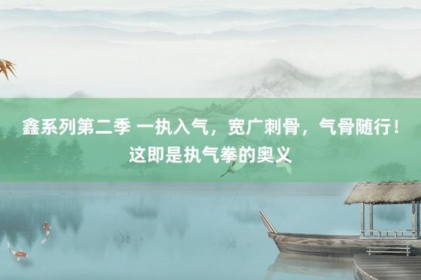 鑫系列第二季 一执入气,宽广刺骨,气骨随行!这即是执气拳的奥义