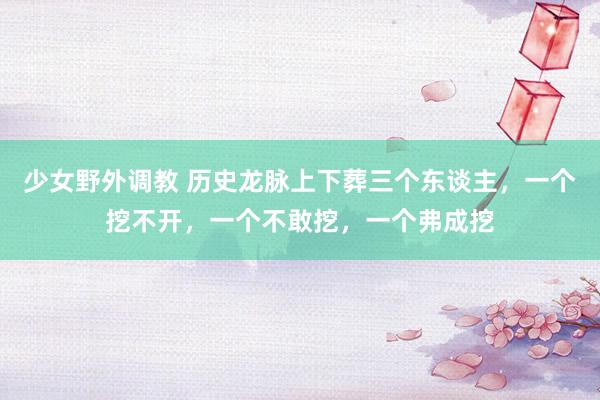 少女野外调教 历史龙脉上下葬三个东谈主,一个挖不开,一个不敢挖,一个弗成挖