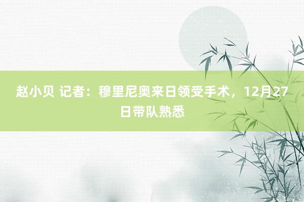 赵小贝 记者：穆里尼奥来日领受手术，12月27日带队熟悉
