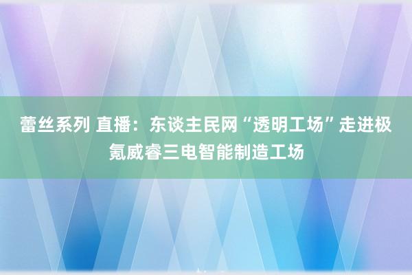 蕾丝系列 直播:东谈主民网“透明工场”走进极氪威睿三电智能制造工场