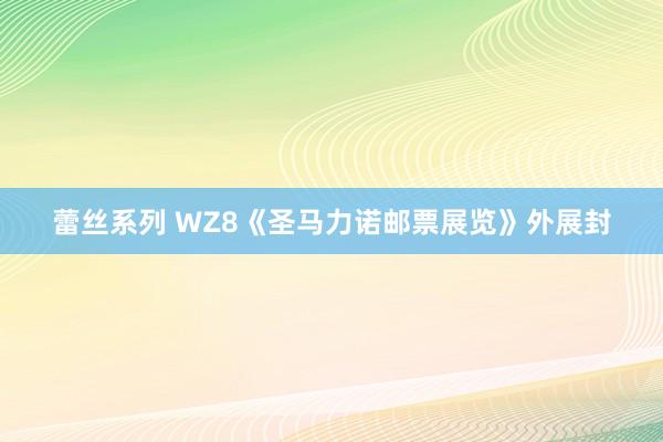 蕾丝系列 WZ8《圣马力诺邮票展览》外展封