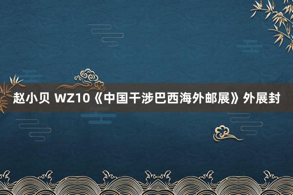 赵小贝 WZ10《中国干涉巴西海外邮展》外展封