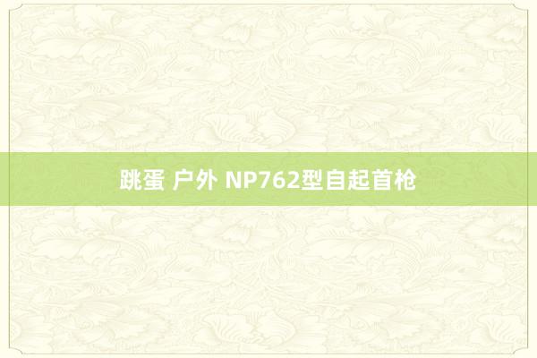 跳蛋 户外 NP762型自起首枪
