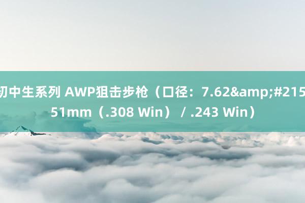 初中生系列 AWP狙击步枪（口径：　7.62&#215;51mm（.308 Win） / .243 Win）