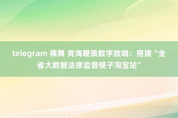 telegram 裸舞 青海鞭策数字放哨:搭建“全省大数据法律监督模子淘宝站”