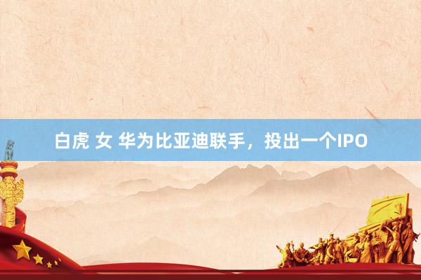 白虎 女 华为比亚迪联手,投出一个IPO