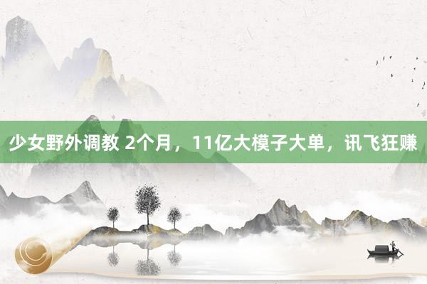 少女野外调教 2个月,11亿大模子大单,讯飞狂赚