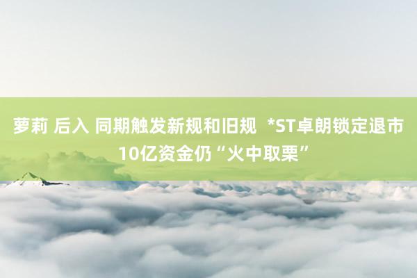 萝莉 后入 同期触发新规和旧规 *ST卓朗锁定退市 10亿资金仍“火中取栗”