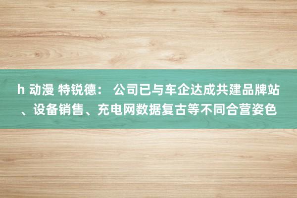 h 动漫 特锐德： 公司已与车企达成共建品牌站、设备销售、充电网数据复古等不同合营姿色