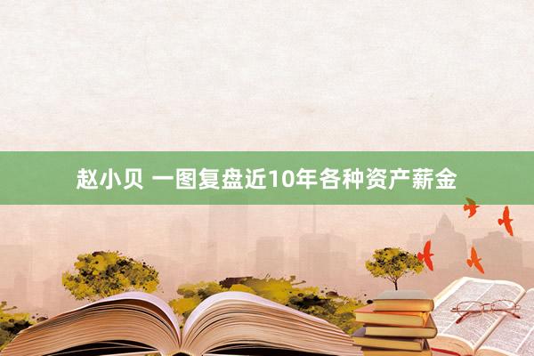 赵小贝 一图复盘近10年各种资产薪金
