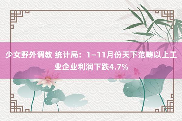少女野外调教 统计局:1—11月份天下范畴以上工业企业利润下跌4.7%