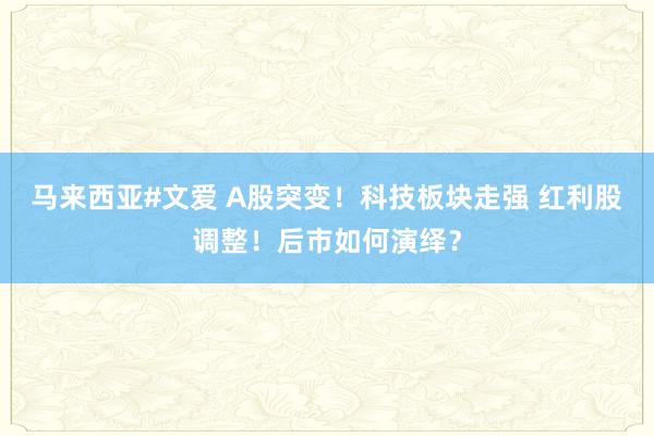 马来西亚#文爱 A股突变！科技板块走强 红利股调整！后市如何演绎？