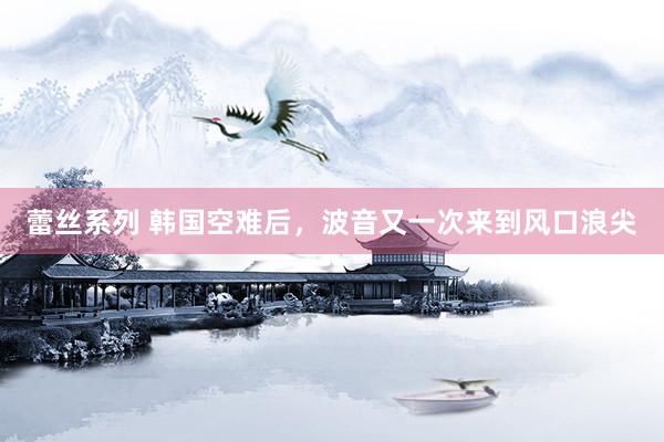 蕾丝系列 韩国空难后,波音又一次来到风口浪尖
