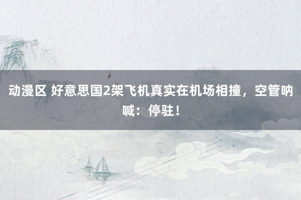 动漫区 好意思国2架飞机真实在机场相撞,空管呐喊:停驻!