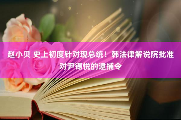 赵小贝 史上初度针对现总统！韩法律解说院批准对尹锡悦的逮捕令