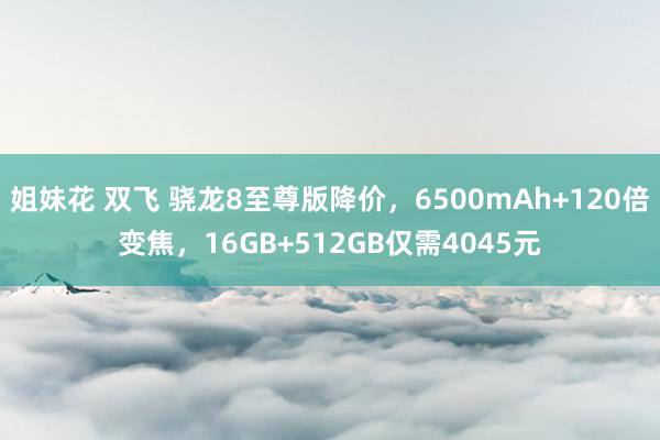 姐妹花 双飞 骁龙8至尊版降价,6500mAh+120倍变焦,16GB+512GB仅需4045元