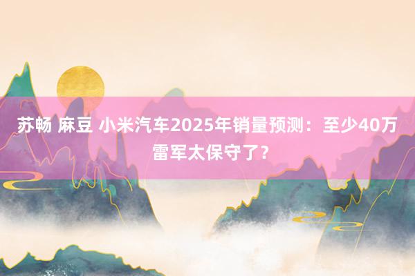 苏畅 麻豆 小米汽车2025年销量预测：至少40万 雷军太保守了？