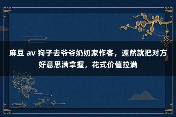 麻豆 av 狗子去爷爷奶奶家作客,遽然就把对方好意思满拿握,花式价值拉满