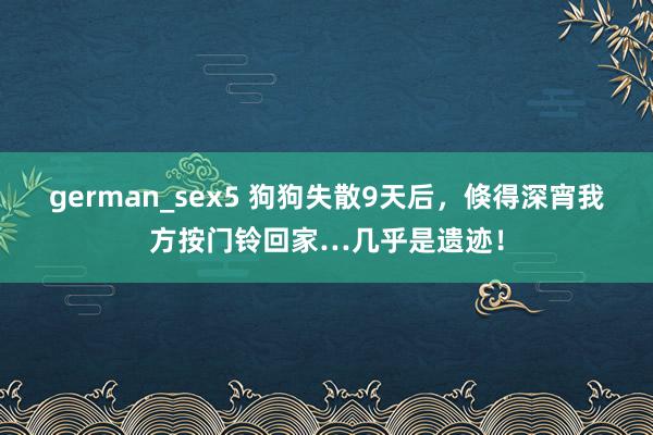 german_sex5 狗狗失散9天后,倏得深宵我方按门铃回家…几乎是遗迹!