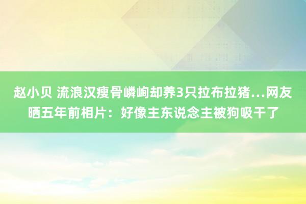 赵小贝 流浪汉瘦骨嶙峋却养3只拉布拉猪…网友晒五年前相片:好像主东说念主被狗吸干了