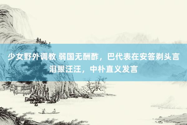 少女野外调教 弱国无酬酢，巴代表在安答剃头言泪眼汪汪，中朴直义发言