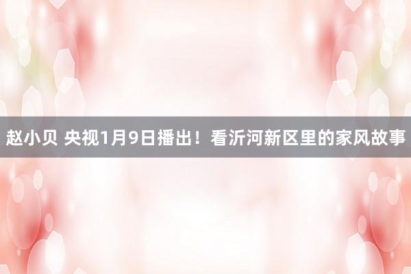 赵小贝 央视1月9日播出！看沂河新区里的家风故事