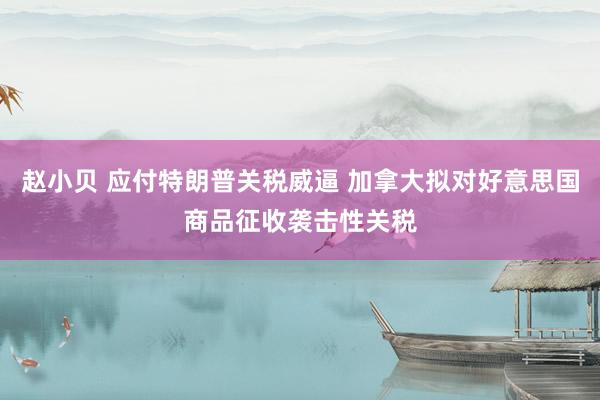 赵小贝 应付特朗普关税威逼 加拿大拟对好意思国商品征收袭击性关税