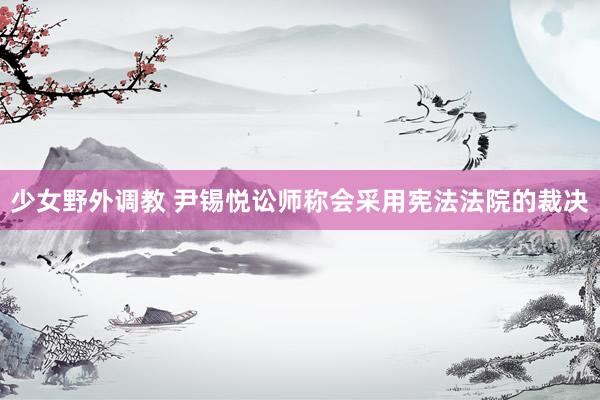 少女野外调教 尹锡悦讼师称会采用宪法法院的裁决