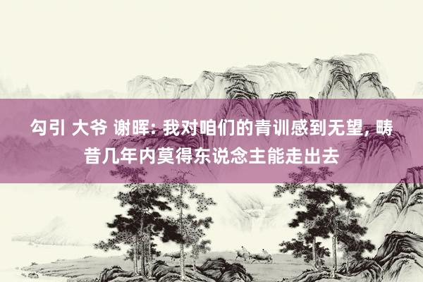 勾引 大爷 谢晖: 我对咱们的青训感到无望， 畴昔几年内莫得东说念主能走出去