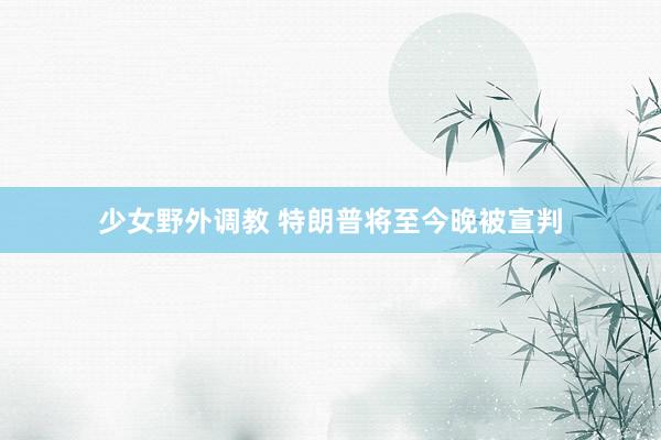 少女野外调教 特朗普将至今晚被宣判